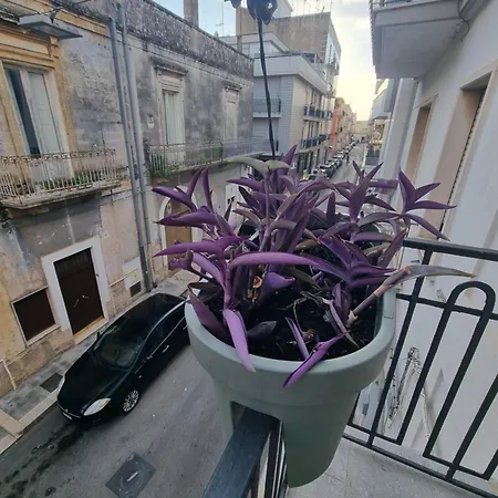 Luna Rossa B&B 알타무라