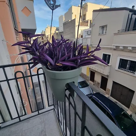 Luna Rossa אלטאמורה