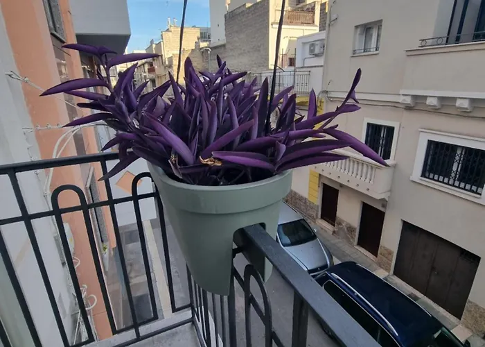 Luna Rossa アルタムラ